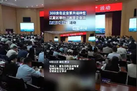 300余名企业家共话转型，武汉市江夏区成功举行“民营企业汇 翘楚江夏行”活动图片