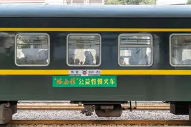 游客在湘西公益慢火车上过小年，遭遇“八戒霸座”？怀铁公安用皮影戏说“法”图片