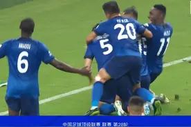 雪佛龙｜申花2-1逆转河南重回榜首，吴曦、特谢拉建功图片