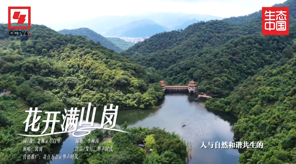 刚刚，全网首发！央视再度聚焦肇庆