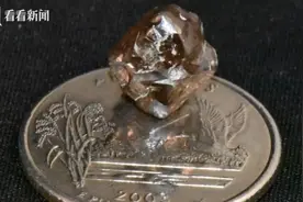 运气来了挡不住！男子去公园玩，竟挖到7.46克拉钻石图片