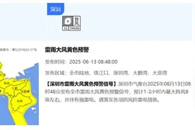 8级阵风+强雷电！深圳发布预警信号图片