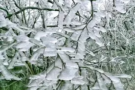 今天湖南下雪啦！接下来还有暴雪！图片