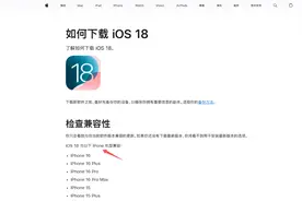 世界果然是一个巨大的草台班子 苹果也不例外图片