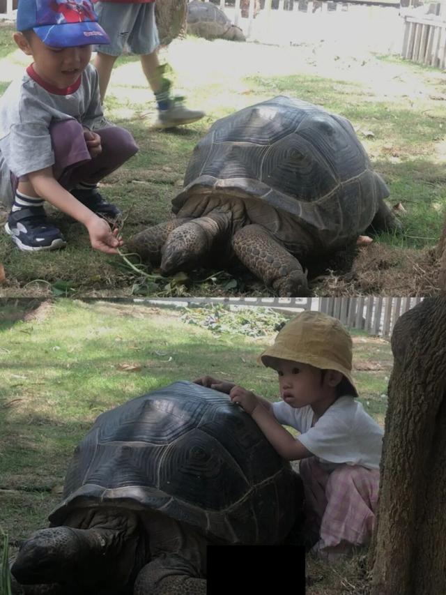 这个秋冬，不妨来陵水邂逅一片蔚蓝