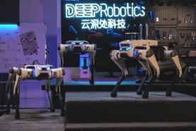 咨询量增加20%，“六小龙”出圈后杭州旅游人探寻新“富矿”图片