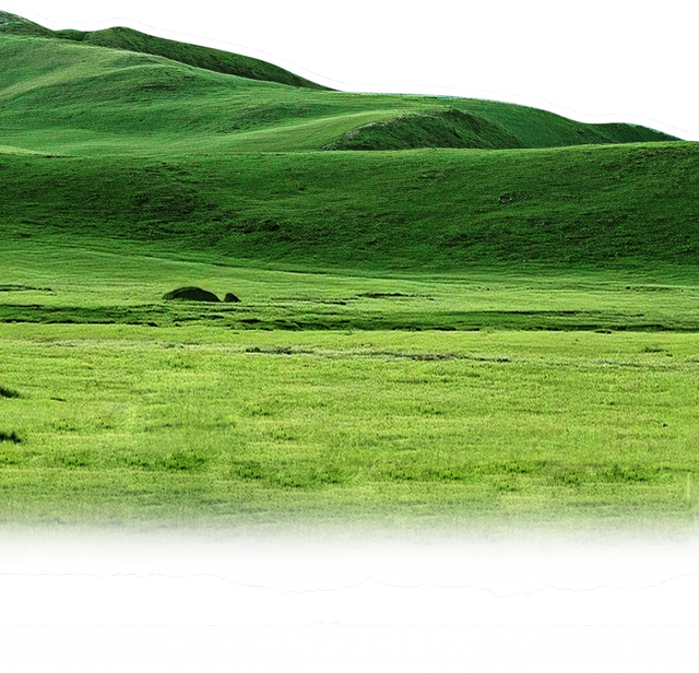 济宁出发，机票抄底！2026第一场旅行，从大安机场说走就走！