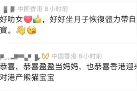 “港产”大熊猫诞生瞬间，背后还有更多故事……图片