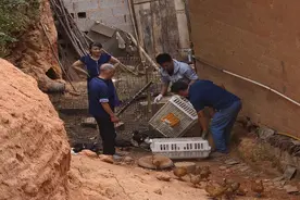 北山镇明月山村：鸡鸭饲料送到家 群众心里乐开花图片