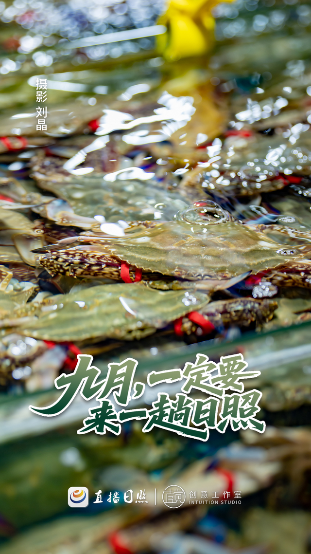 九月，就得来日照！