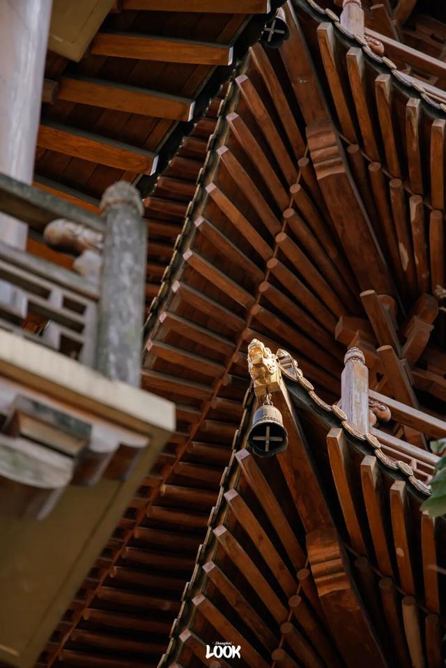 上海最美不过愚园路