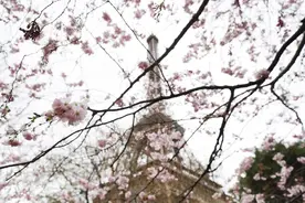 通讯丨医者仁心 跨越山海——中法医学合作百年佳话图片