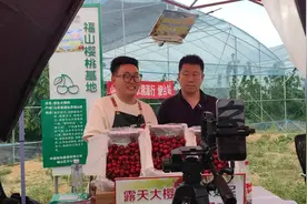 樱桃季五湖四海寄甜蜜 邮政助农直播走进烟台大樱桃主产区图片