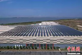 山东青岛：光伏发电赋能产业园绿色低碳发展图片