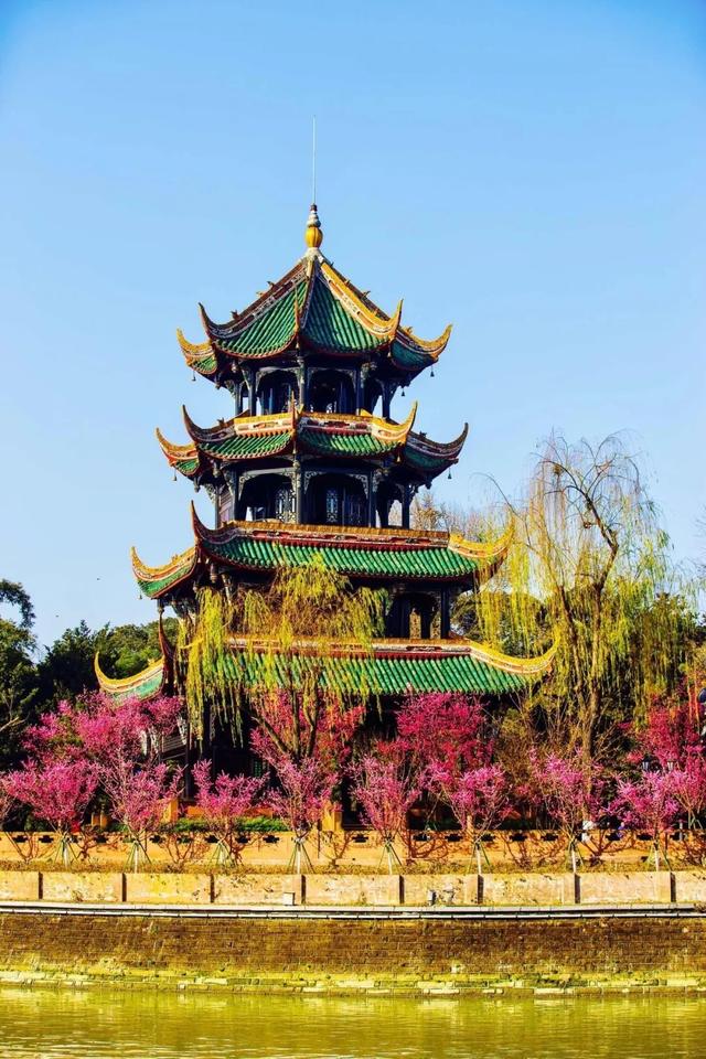 发现·公园城市 | 深呼吸，感受成都湿地魅力