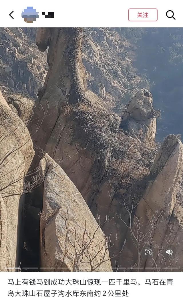 山东一块巨石神似千里马走红，成马年热门打卡点，最新提醒