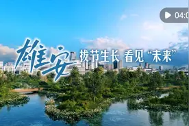 阔步走来的“未来之城”——河北雄安新区设立七周年观察图片