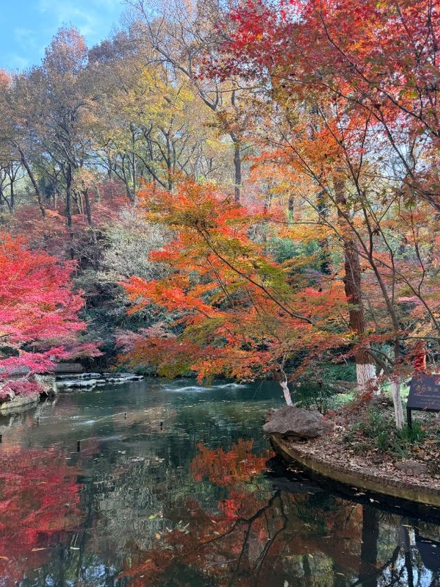 秋日特调！南京“西红柿炒蛋”皮肤已限时上线！