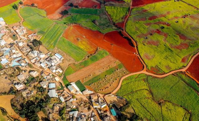 弥勒千亩油菜花海,太出片啦