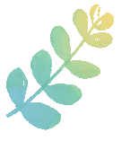 一张门票一日游，打包青岛冬日海底+海上精华的路线攻略来啦