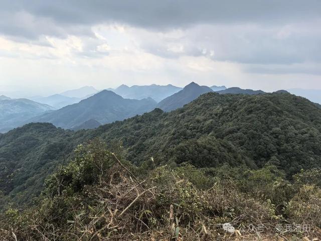 打卡丰顺尖笔岽！看狗探石奇观，瞰半山水库，一览三镇美景