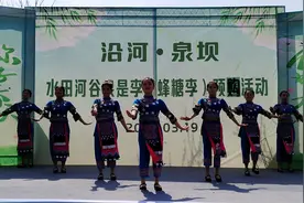 沿河泉坝镇：开展蜂糖李预购活动图片