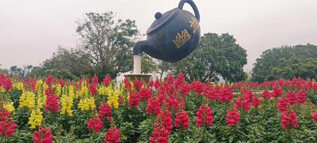 福利来袭！北部湾花卉公园赏花“免费”啦，摘莓赏花双重乐