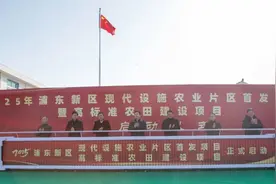 总投资6.7亿元！浦东新区现代设施农业片区首发项目暨高标准农田建设项目集中启动图片