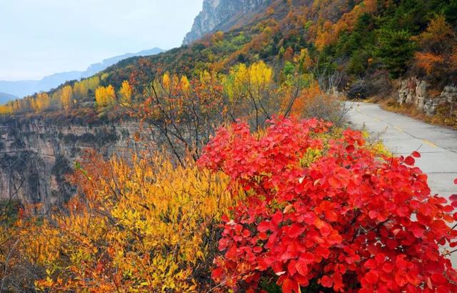 豫见两山 绿色答卷丨生态之旅——打卡“红旗渠的故乡”林州