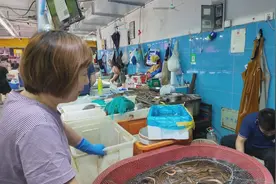 小暑宜食补，菜市场里黄鳝热销图片