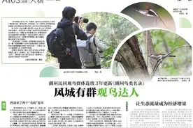 在潮州，谁在为鸟儿更新“朋友圈”？图片