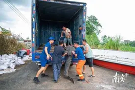 广东茂名养殖场“出逃”鳄鱼已抓58条图片