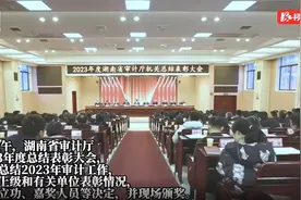 湖南省审计厅召开2023年度总结表彰大会图片
