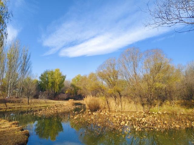 秋深冬浅时，奥森浸染缤纷色彩