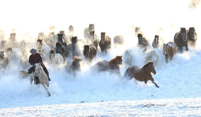 2026年乌兰布统马文化节开幕