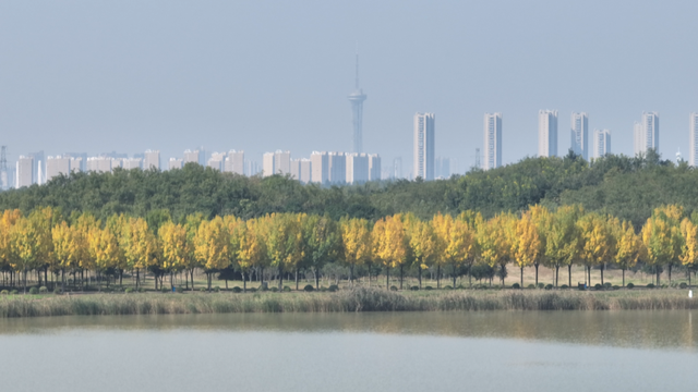 “飞雪”落中原，美了美了～