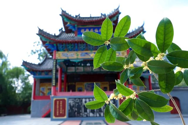 商丘：三条特色文旅线路，带你玩转木兰故里丨跟着豫排去旅行