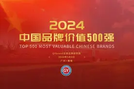 湖南10品牌跻身中国品牌TOP500图片