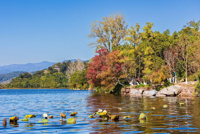 【冬季暖阳 凉山不凉】把秋假还给自然！这里的秋冬没有围墙～