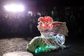 长假前六天，青岛红树林度假世界日接待游客量超2023年同期30%图片