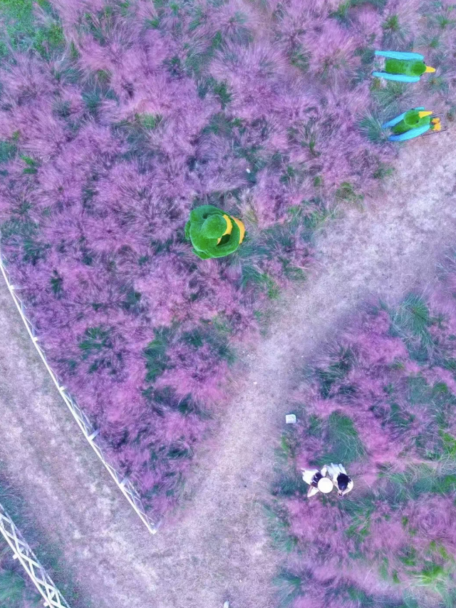 有预感！无锡这些地方又要成顶流了……