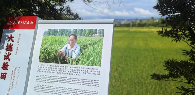 开启人文之旅！湖南怀化“三江一湾”文旅名片大湾区邀客