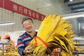 湖北竹溪县：烟叶丰收烟农笑开怀图片