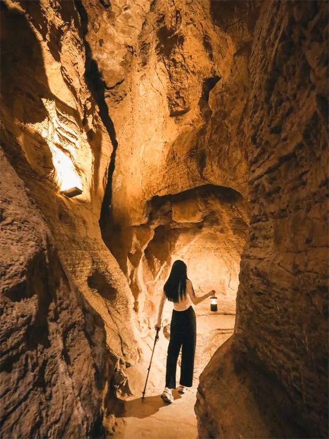 淄博红叶进入全盛期 漫山遍野醉人红