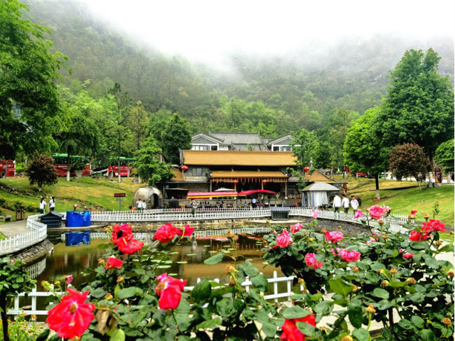 走进好在文山 | 龙华秘境，等你来邂逅