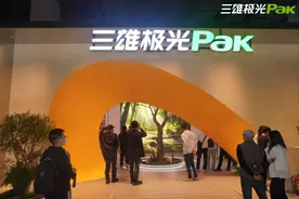 三雄极光“调整组织架构” 有董事投票反对图片