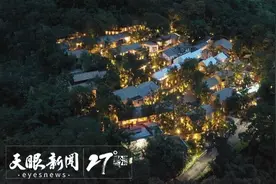 贵州这棵树，凭啥让10万上海游客都想来看看图片