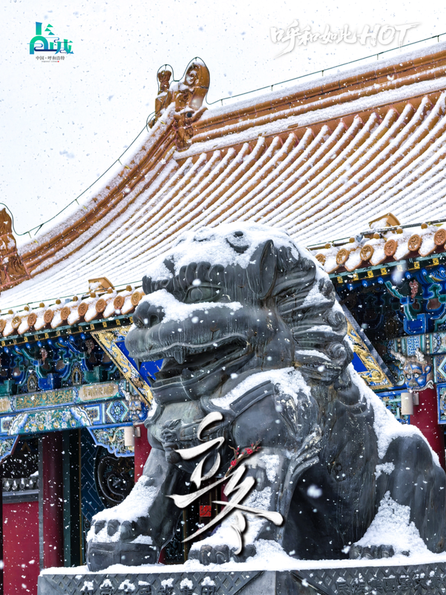 今日立冬！呼和浩特的冬天，一半沉静，一半炽热