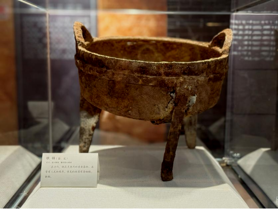 这家博物馆是真“上头”了！