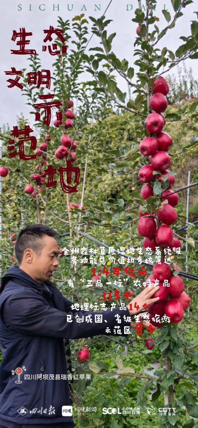 美进骨子里，一组海报带你看阿坝文旅“家底”有多厚？